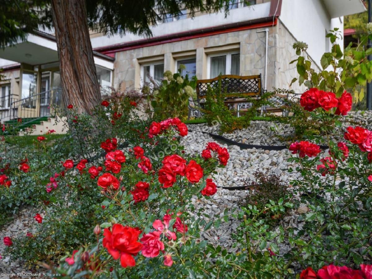 Dom Wczasowy Sokolica Krynica Zdroj Exterior photo